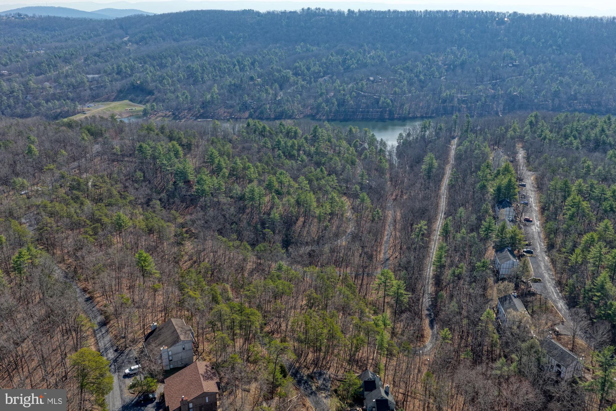 King Street Basye, VA 22810 - Photo 25 of 27 a view of a dry yard with trees