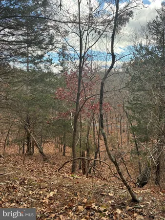 $165,000 | King Street, Basye, VA 22810