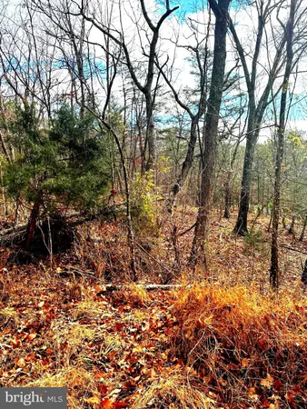 a view of outdoor space with trees