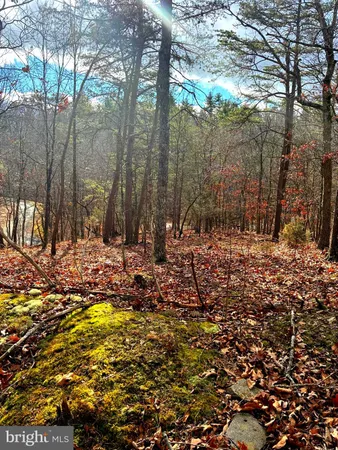 $165,000 | King Street, Basye, VA 22810