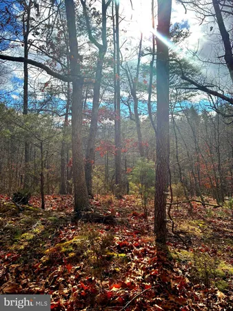 a view of open space with trees