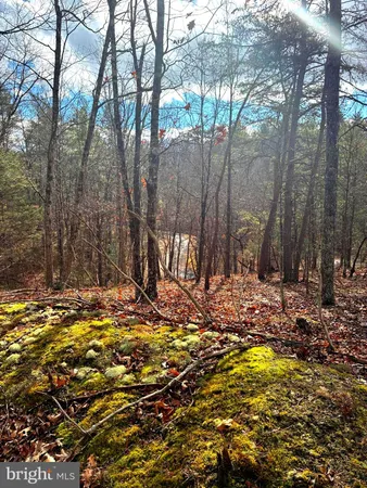 $165,000 | King Street, Basye, VA 22810