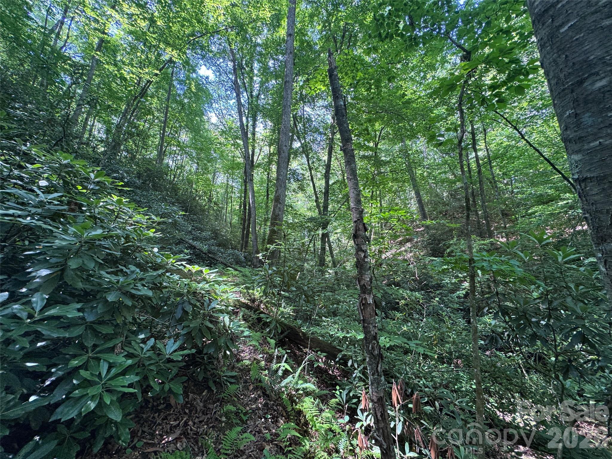 10 A Reserve Road Pisgah Forest, NC 28768 - Photo 7 of 33