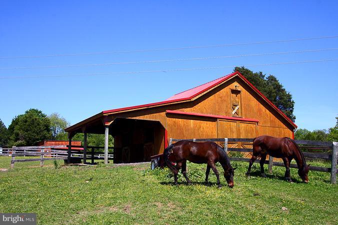 4040 Governor Almond Road Locust Grove, VA 22508 - Photo 6 of 25 Horse Stables