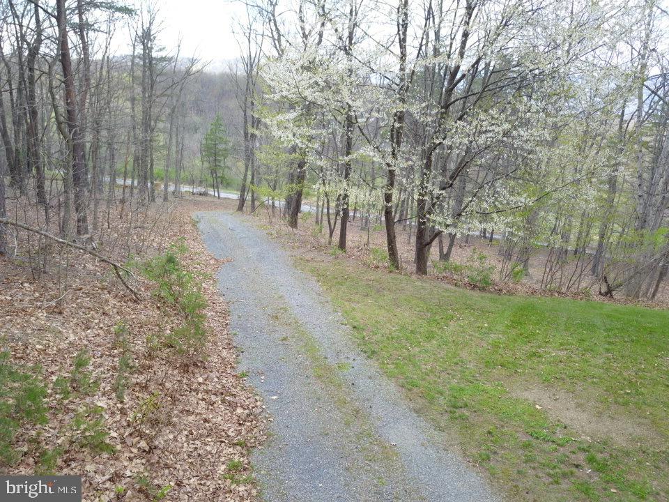 127 Cameron Orchard Road New Creek, WV 26743 - Photo 20 of 69