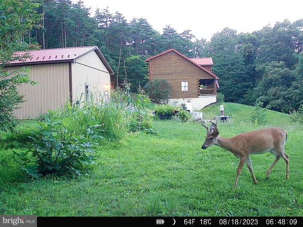 $497,500 | 127 Cameron Orchard Road, New Creek, WV 26743