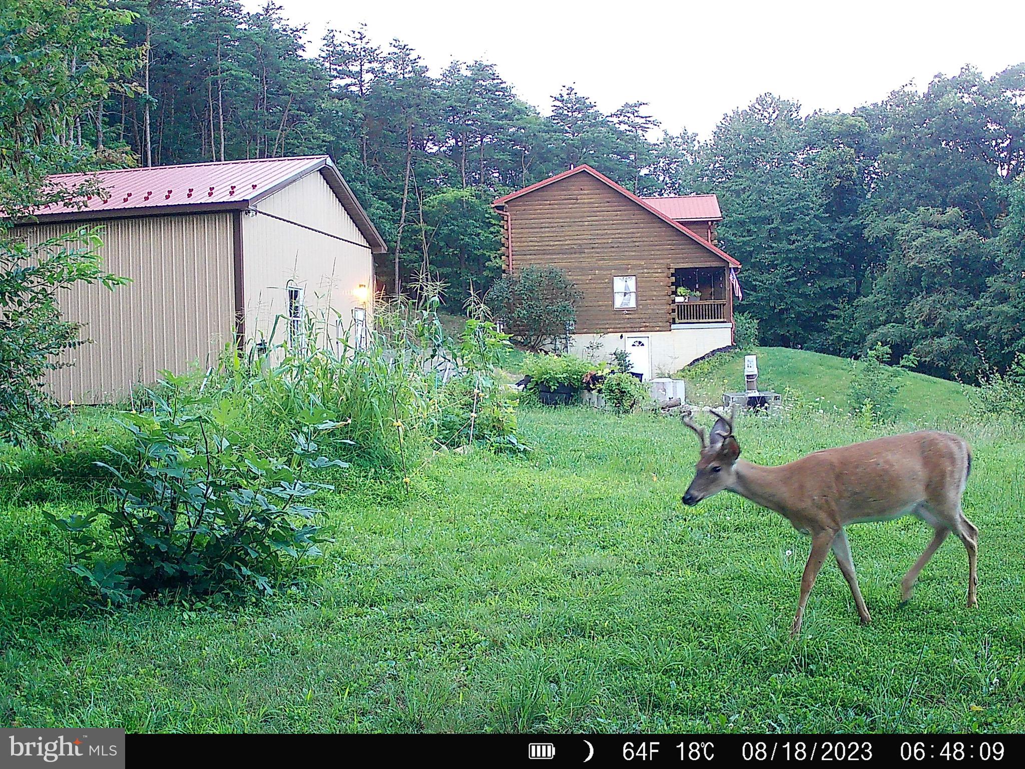 127 Cameron Orchard Road New Creek, WV 26743 - Photo 21 of 69