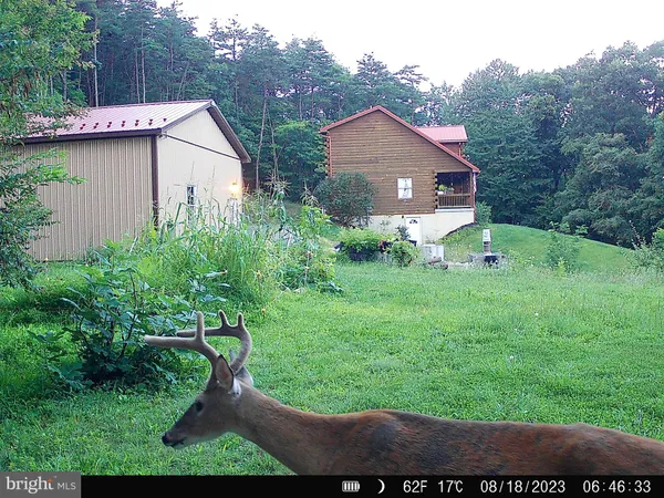 $497,500 | 127 Cameron Orchard Road, New Creek, WV 26743