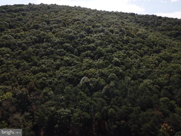 $497,500 | 127 Cameron Orchard Road, New Creek, WV 26743