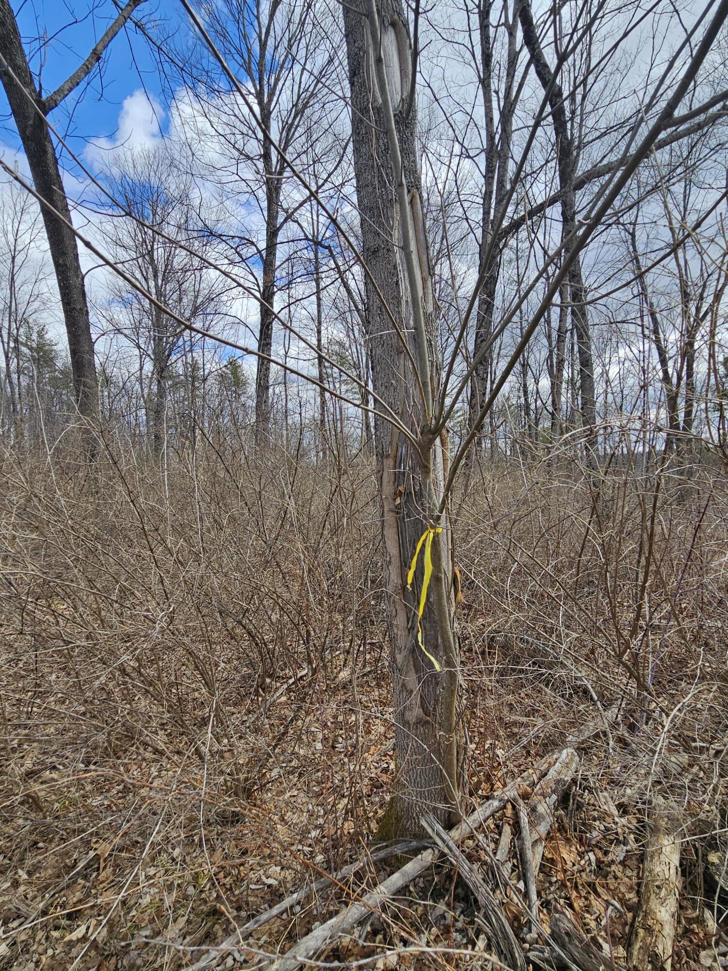 Lot 113-2 Cushman Road Winslow, ME 04901 - Photo 16 of 24 1000066949