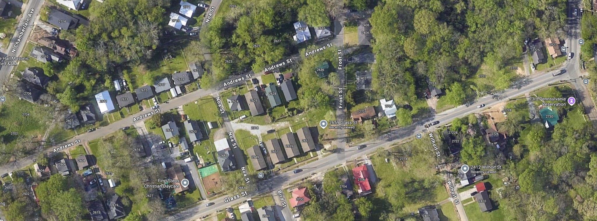 2659 Glass Street Chattanooga, TN 37406 - Photo 5 of 5 a close up of a tree in a garden