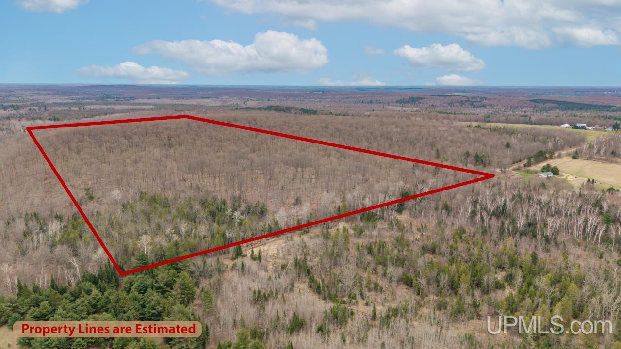 Tbd Hupp Road Vulcan, MI 49892 - Photo 11 of 12