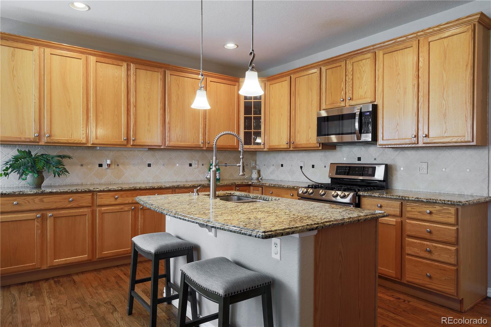 10198 Kleinbrook Way Highlands Ranch, CO 80126 - Photo 23 of 39 Gallery Image 23