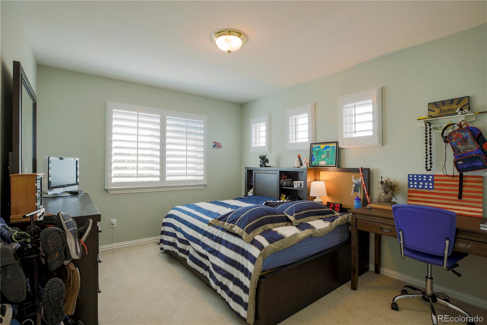 10198 Kleinbrook Way Highlands Ranch, CO 80126 - Photo 35 of 39 Gallery Image 35