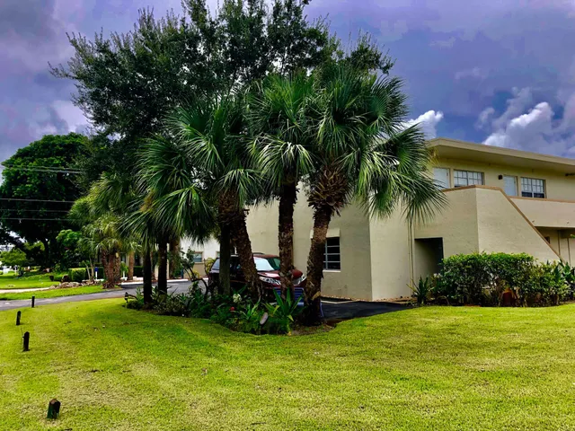 a view of a palm trees in a park
