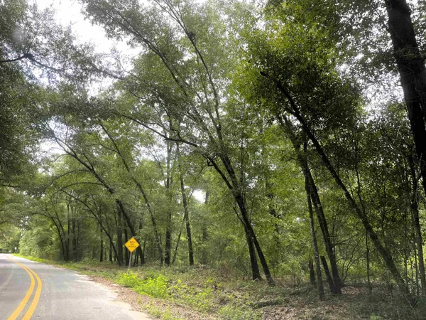 $59,000 | 497 McPhaul Road, Chattahoochee, FL 32324