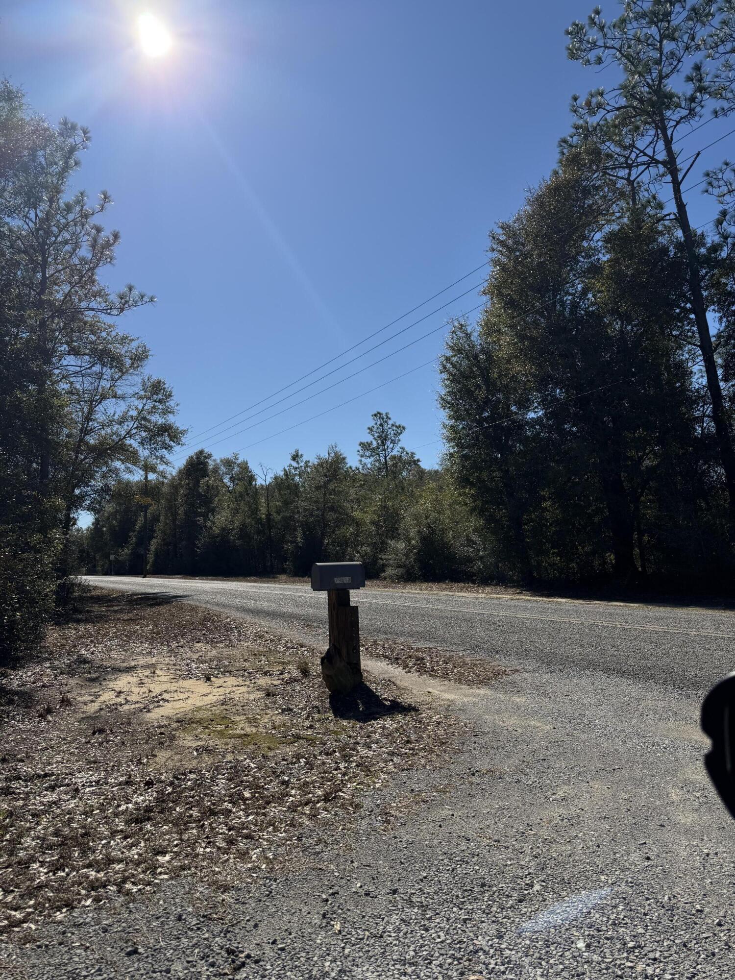 19818 Deep Springs Road Fountain, FL 32438 - Photo 21 of 21 a backyard of a house with lots of green space