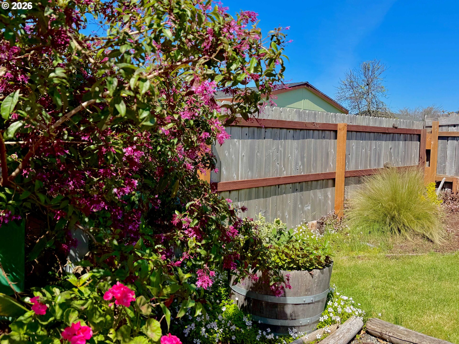 15889 Sunset Strip, Unit 102 Brookings, OR 97415 - Photo 29 of 31 a view of a potted flower in a yard