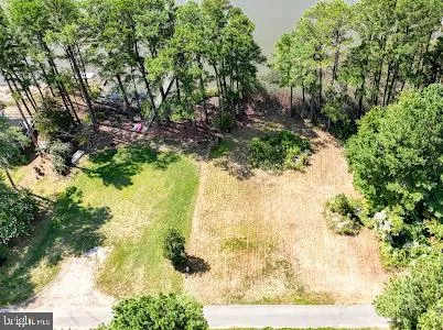 a view of a yard with plants