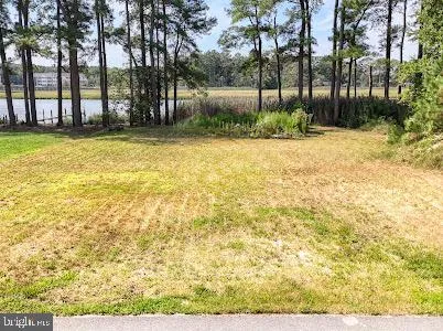 a view of a yard with a house