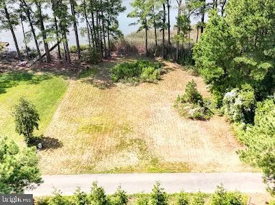 a view of yard with large tree