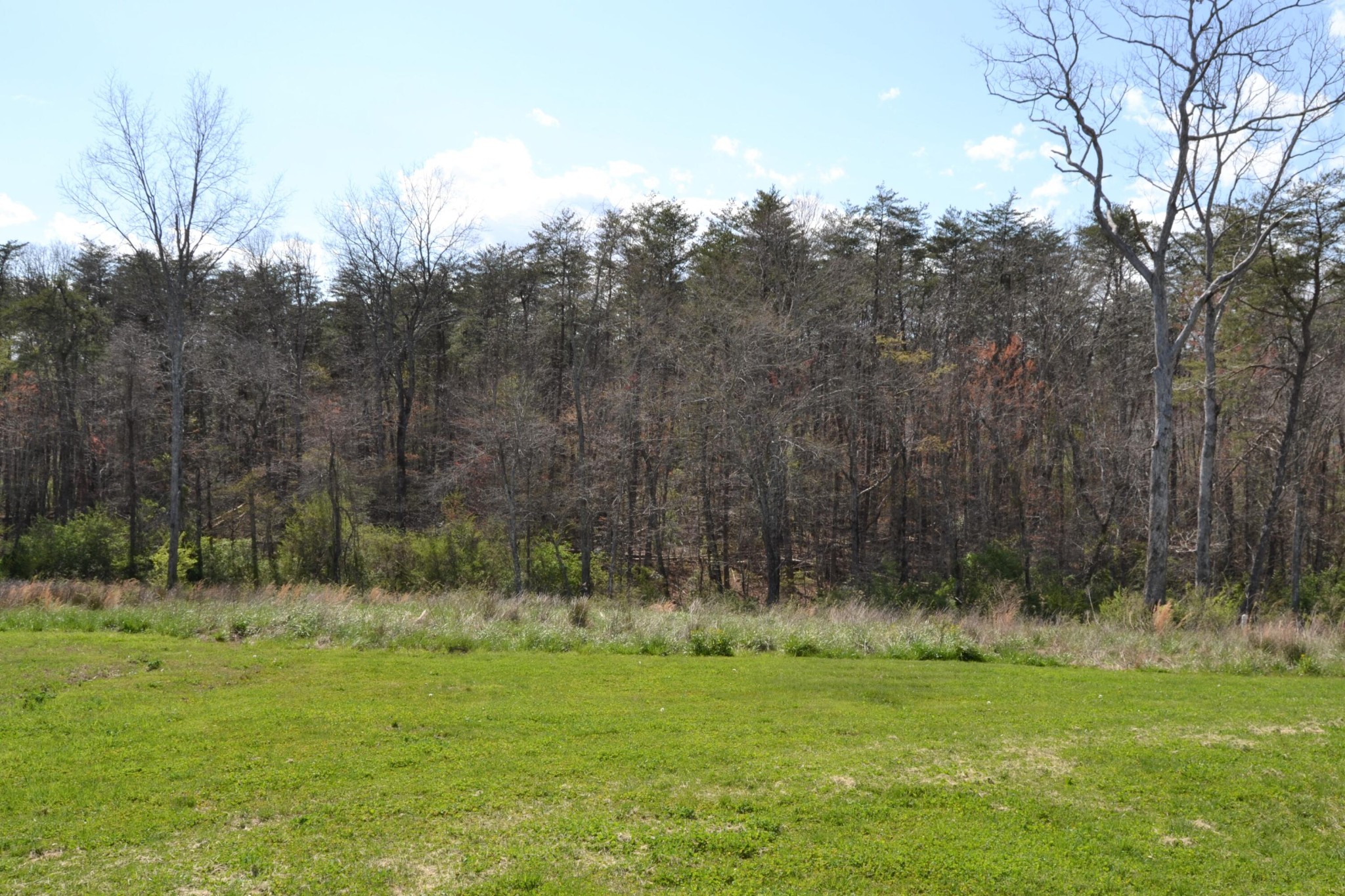 393 Deerfield Road Crossville, TN 38555 - Photo 4 of 34 Gallery Image 4
