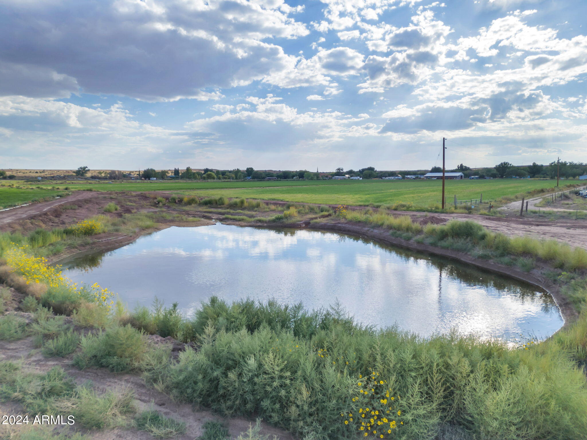 6429 Country Road Woodruff, AZ 85942 - Photo 6 of 19 92-web-or-mls-TimberCreekImagery-69