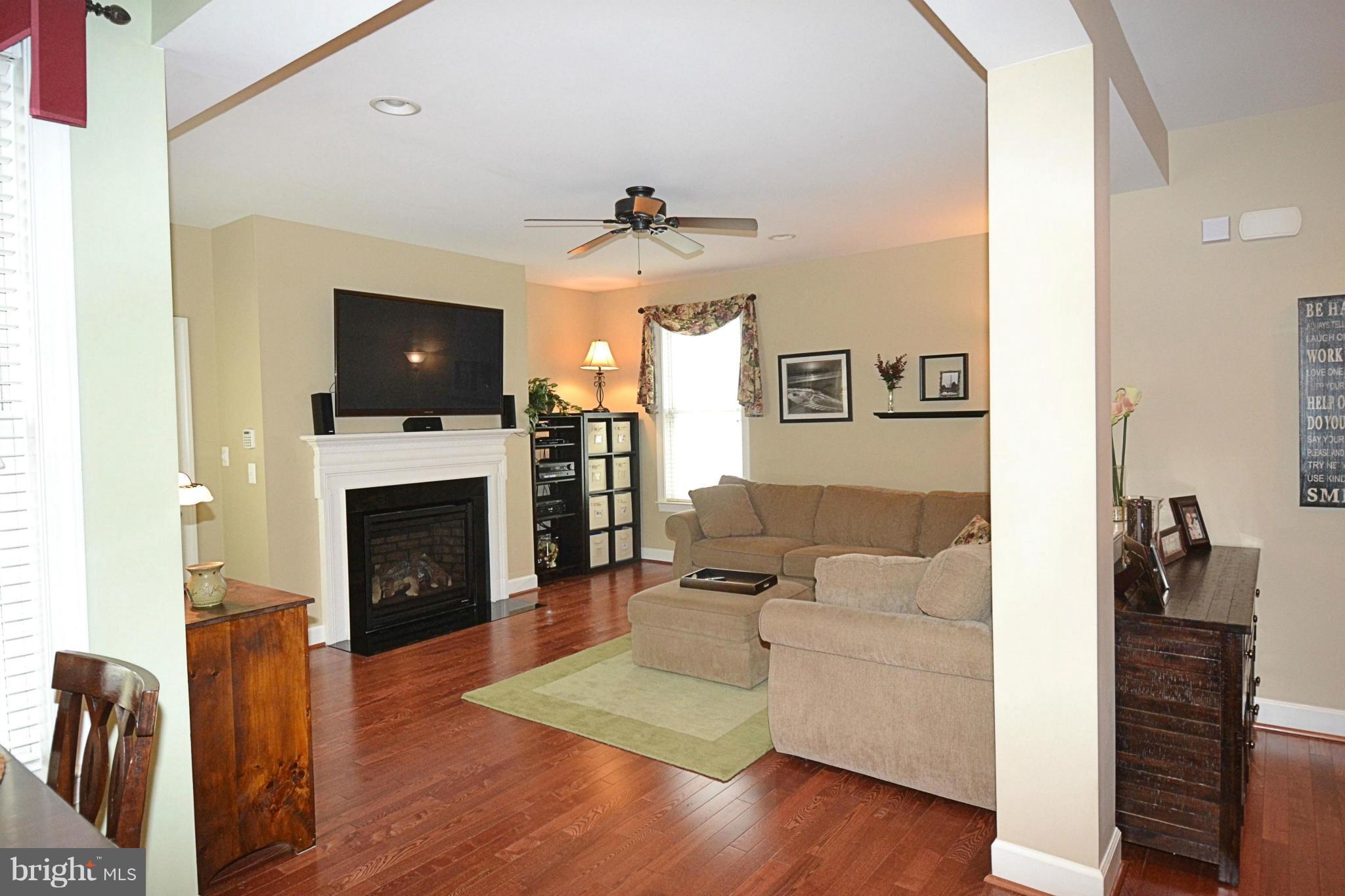 42481 Spring Splendor Drive Ashburn, VA 20148 - Photo 14 of 30 Family Room