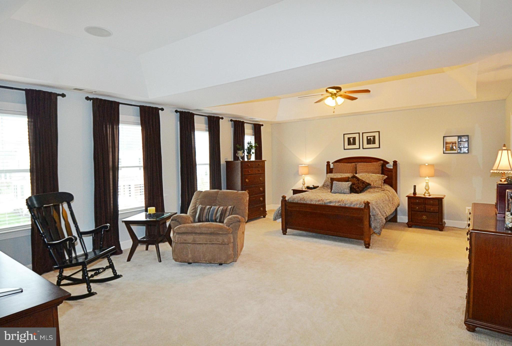 42481 Spring Splendor Drive Ashburn, VA 20148 - Photo 18 of 30 Bedroom (Master)