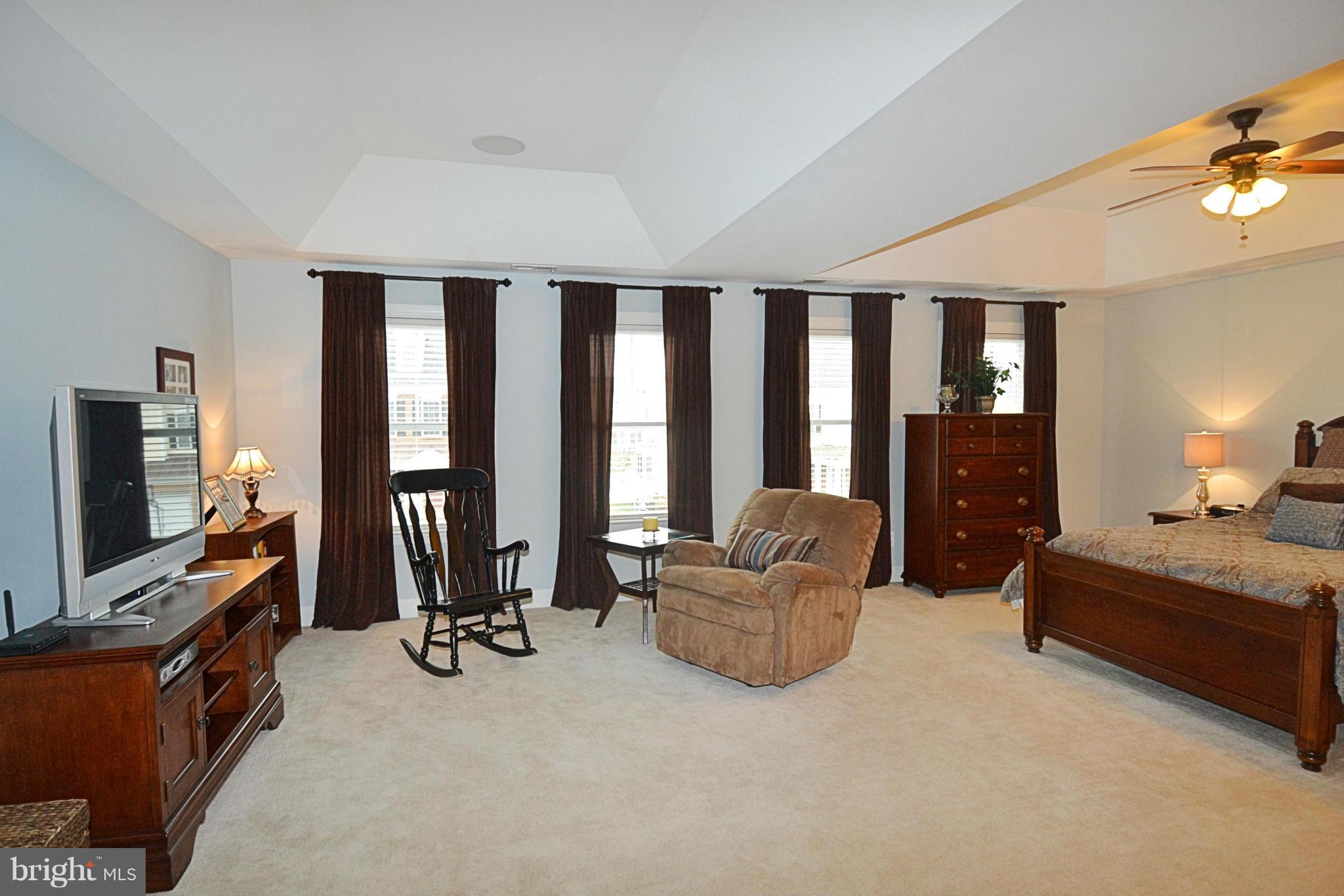 42481 Spring Splendor Drive Ashburn, VA 20148 - Photo 19 of 30 Bedroom (Master)