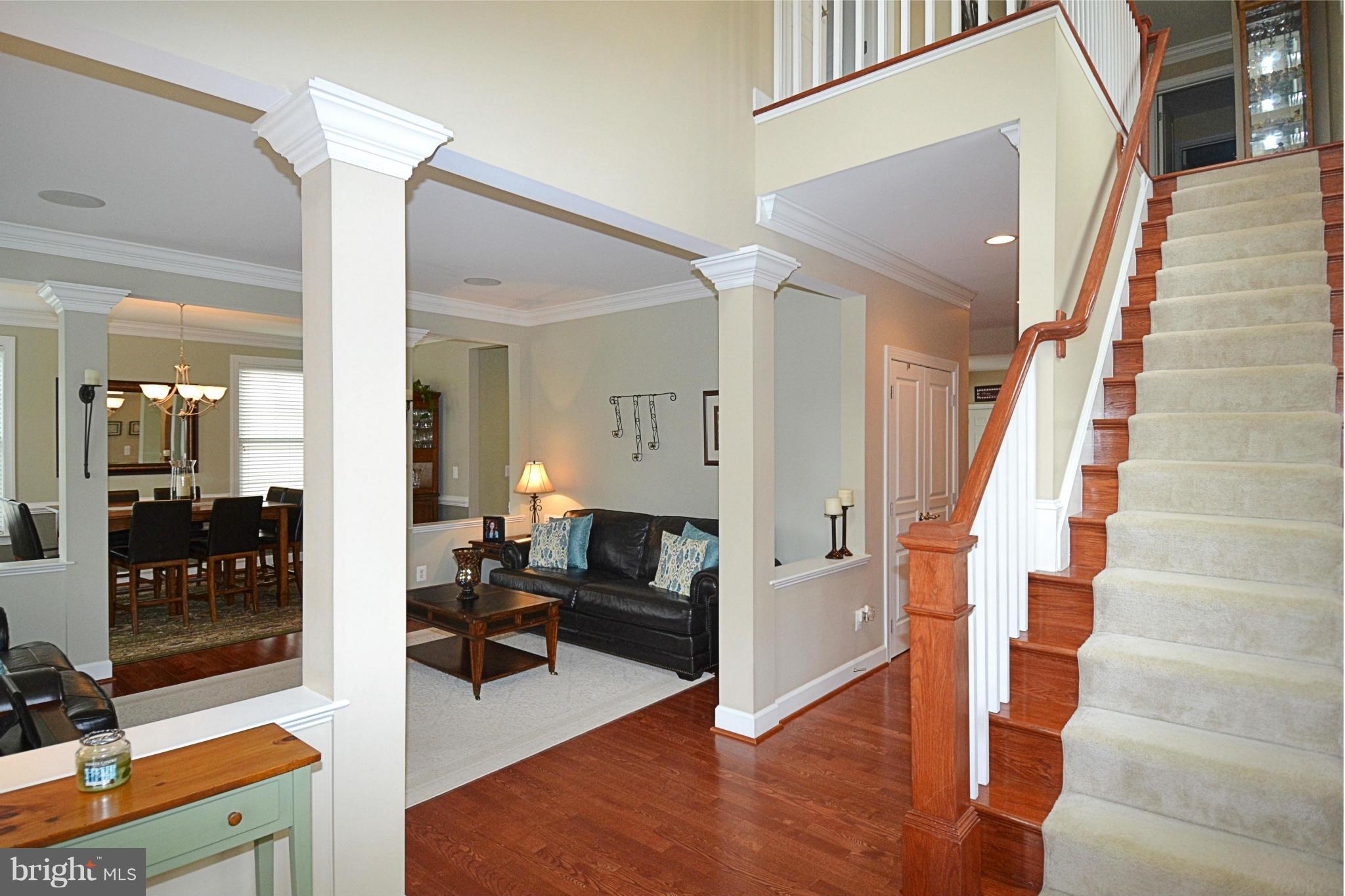 42481 Spring Splendor Drive Ashburn, VA 20148 - Photo 3 of 30 Living Room