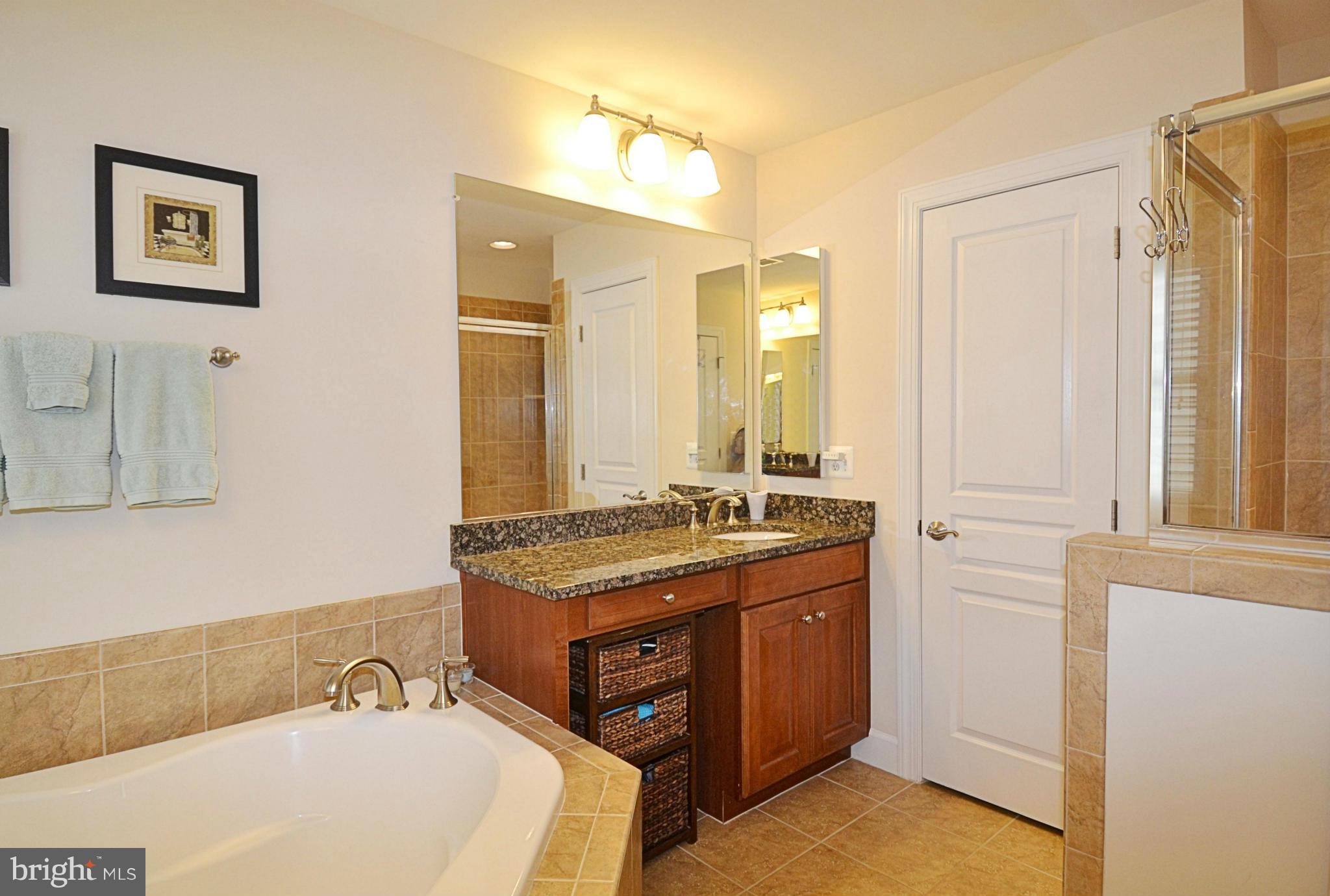 42481 Spring Splendor Drive Ashburn, VA 20148 - Photo 22 of 30 Bath (Master)