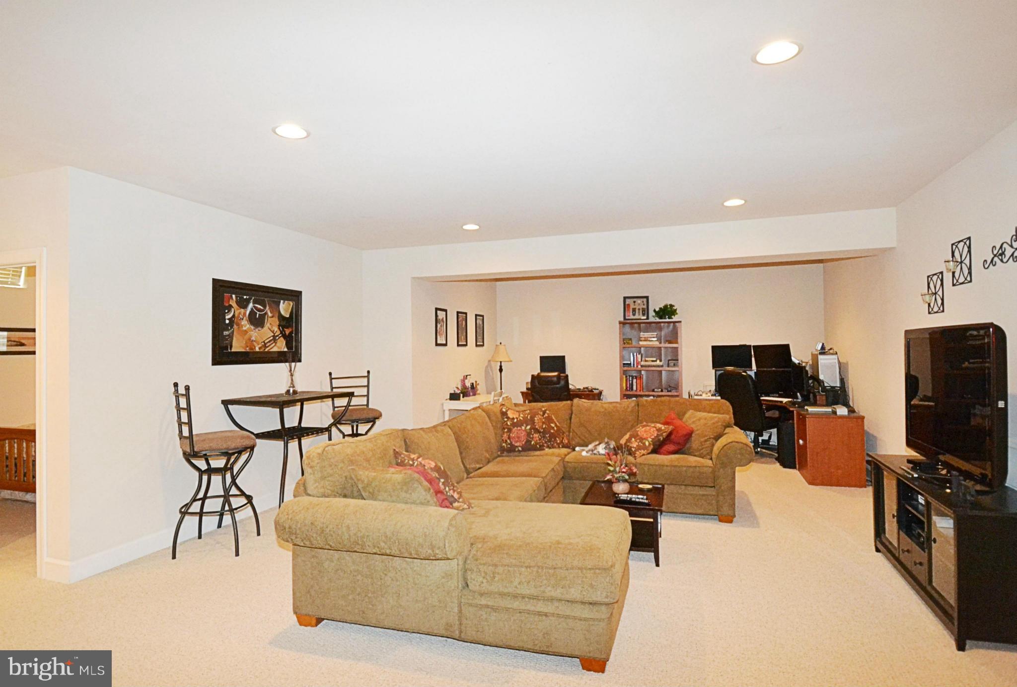 42481 Spring Splendor Drive Ashburn, VA 20148 - Photo 25 of 30 Basement