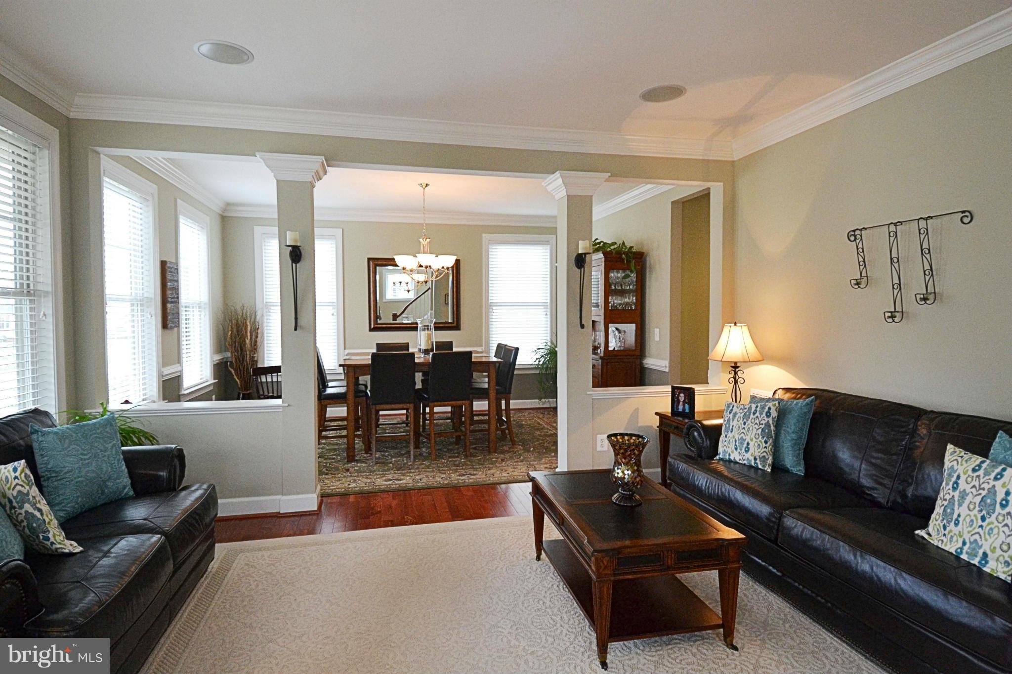 42481 Spring Splendor Drive Ashburn, VA 20148 - Photo 4 of 30 Living Room