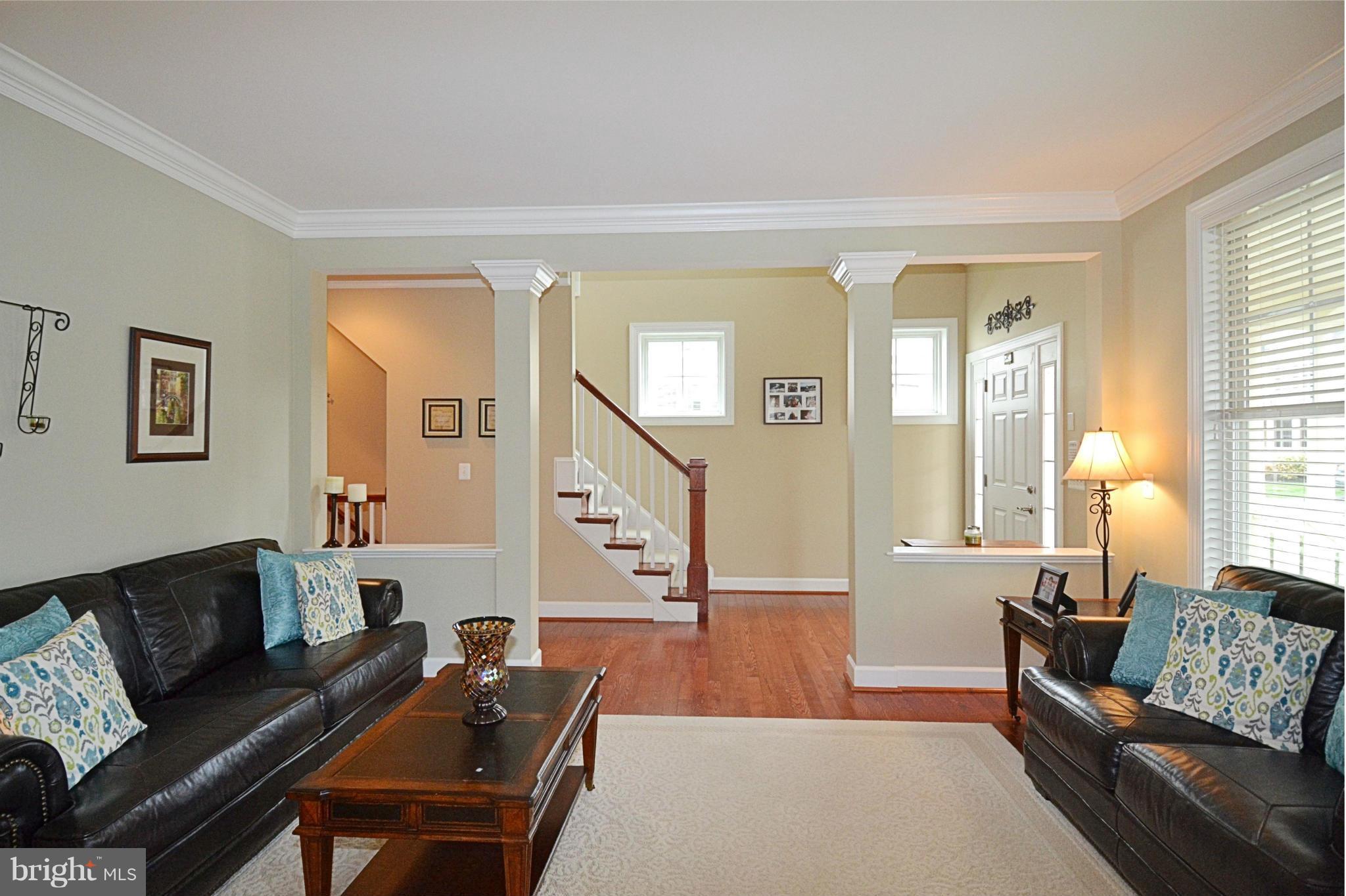 42481 Spring Splendor Drive Ashburn, VA 20148 - Photo 5 of 30 Living Room