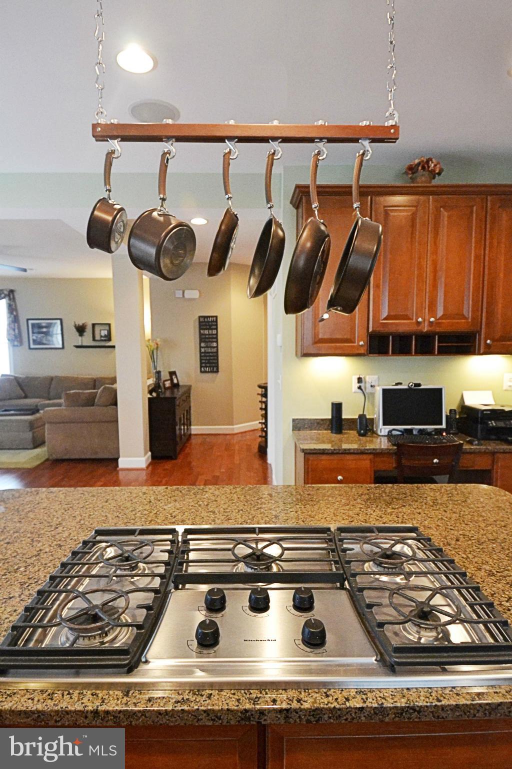 42481 Spring Splendor Drive Ashburn, VA 20148 - Photo 8 of 30 Kitchen