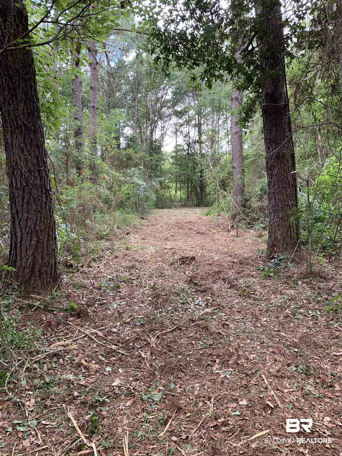 10 Sherwood Highland Road Fairhope, AL 36532 - Photo 4 of 6