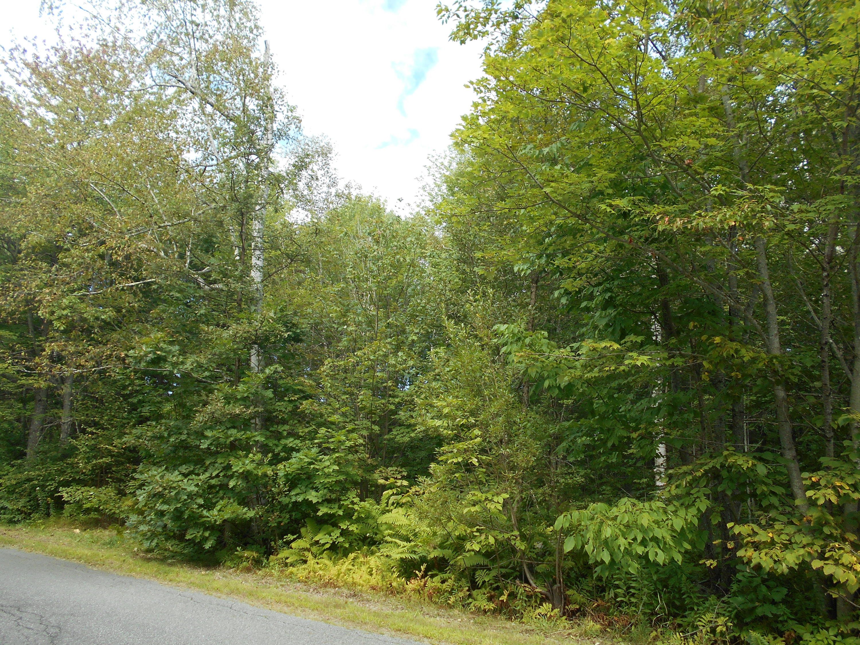 129 Loop Road North Searsport, ME 04974 - Photo 4 of 22 DSCN0002 (1)