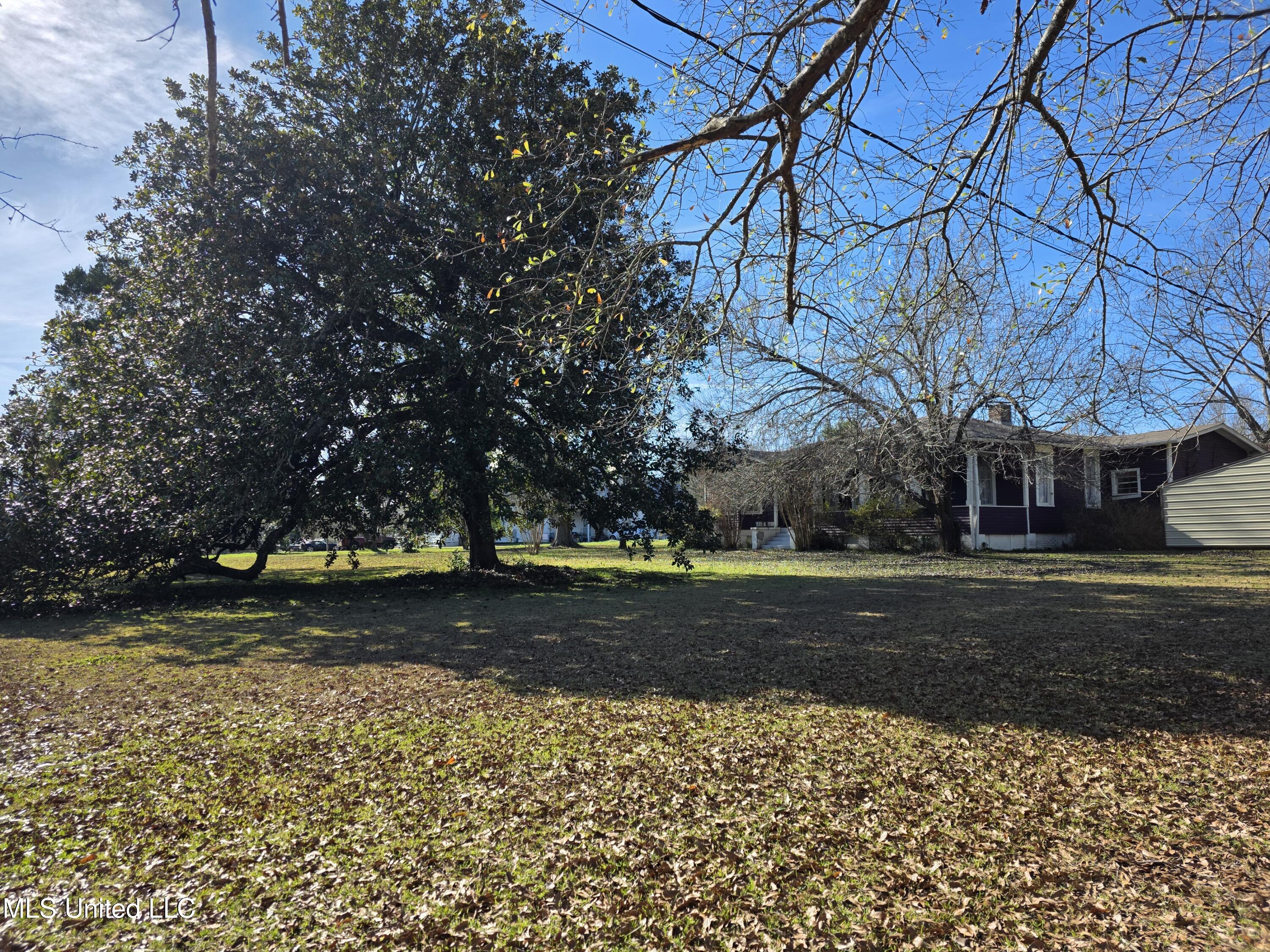 1079 Beech Street Wesson, MS 39191 - Photo 35 of 36 23856