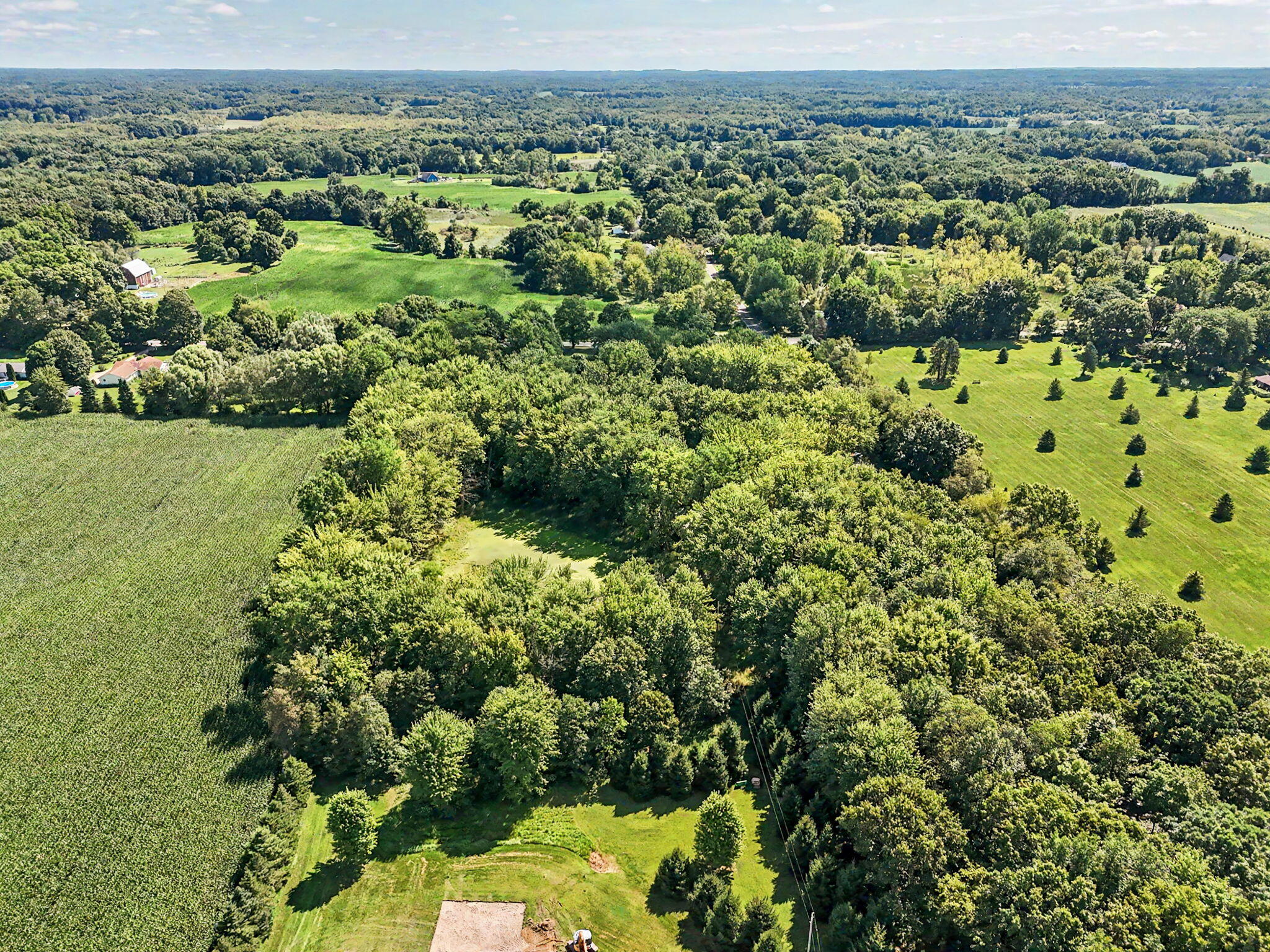 1940 Maple Grove Road Jackson, MI 49201 - Photo 46 of 53 46-web-or-mls-drone5