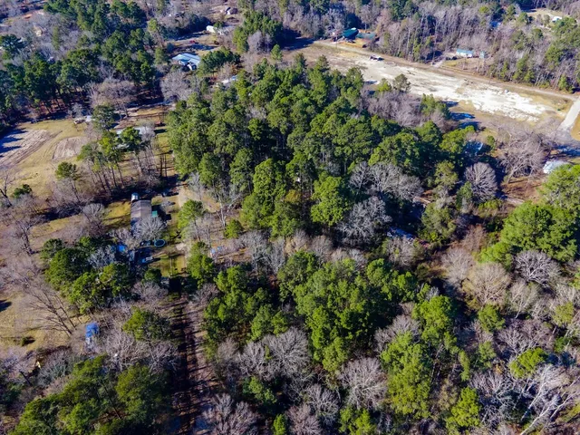 a view of a garden with plants