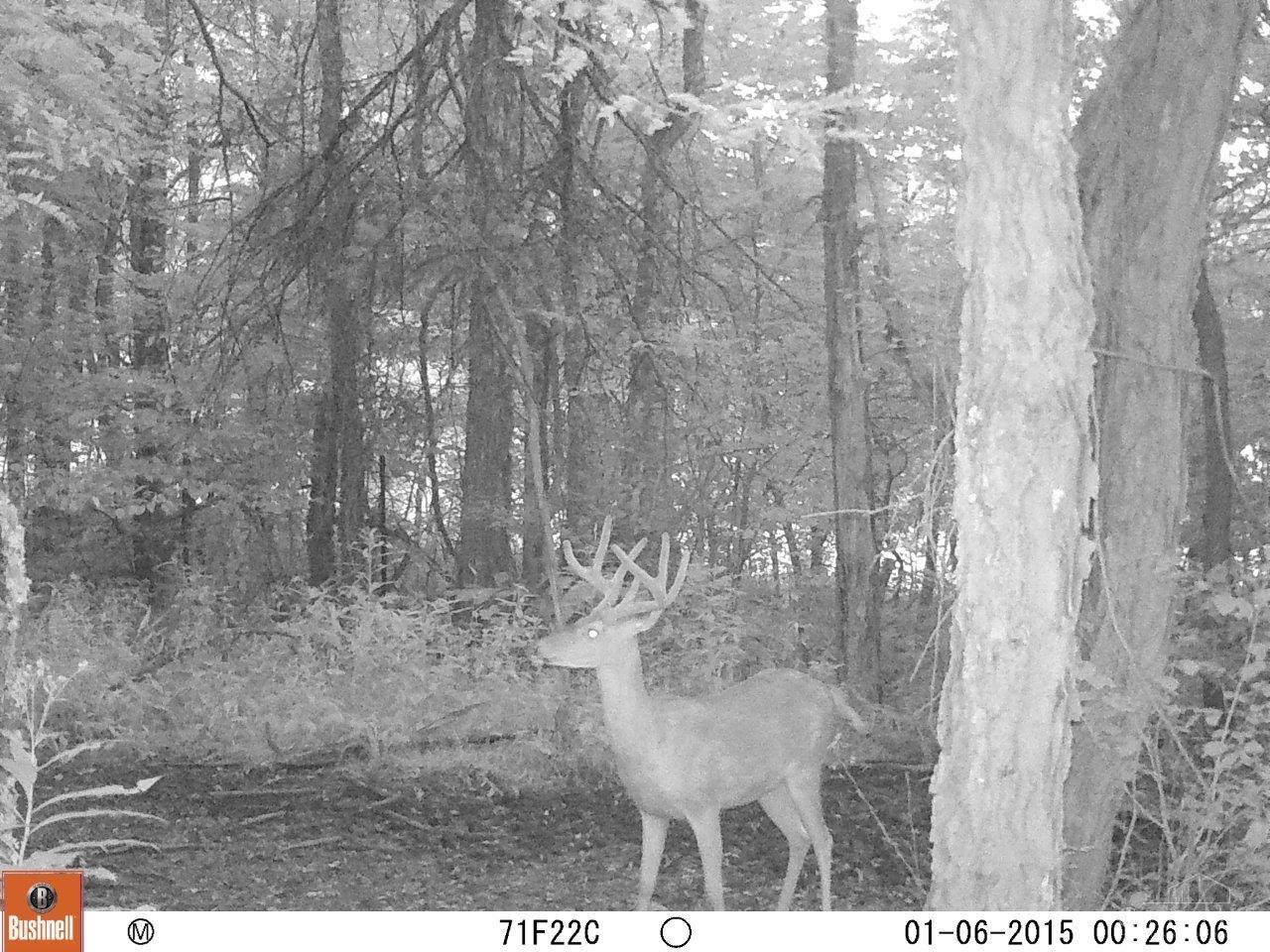 747 Cummings Road West Union, OH 45693 - Photo 60 of 99 Gallery Image 60