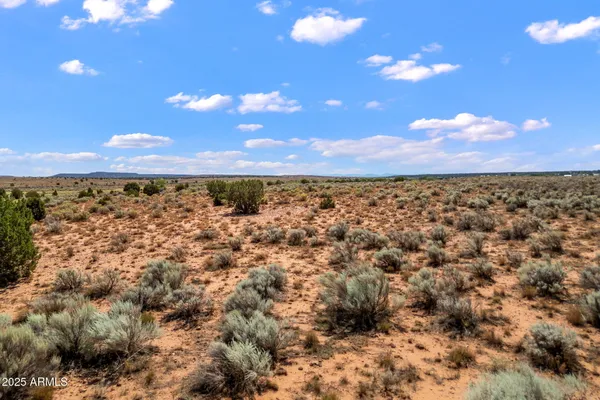 $1,200,000 | 0 Bourdon Ranch, Taylor, AZ 85939