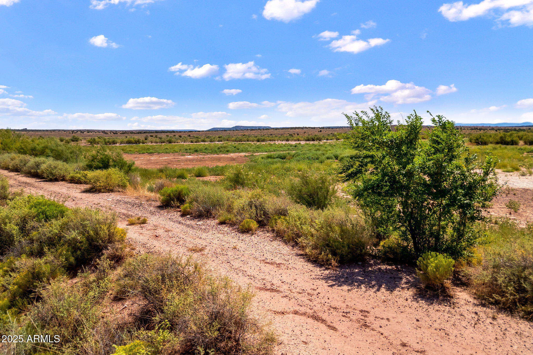 0 Bourdon Ranch Taylor, AZ 85939 - Photo 13 of 18 a view of a lake with a beach