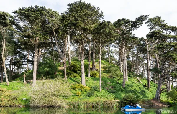 $1,385,000 | 1239 19th Avenue, San Francisco, CA 94122