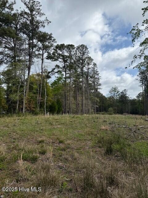 665-637 Bell Point Road Merritt, NC 28556 - Photo 11 of 17 M Land