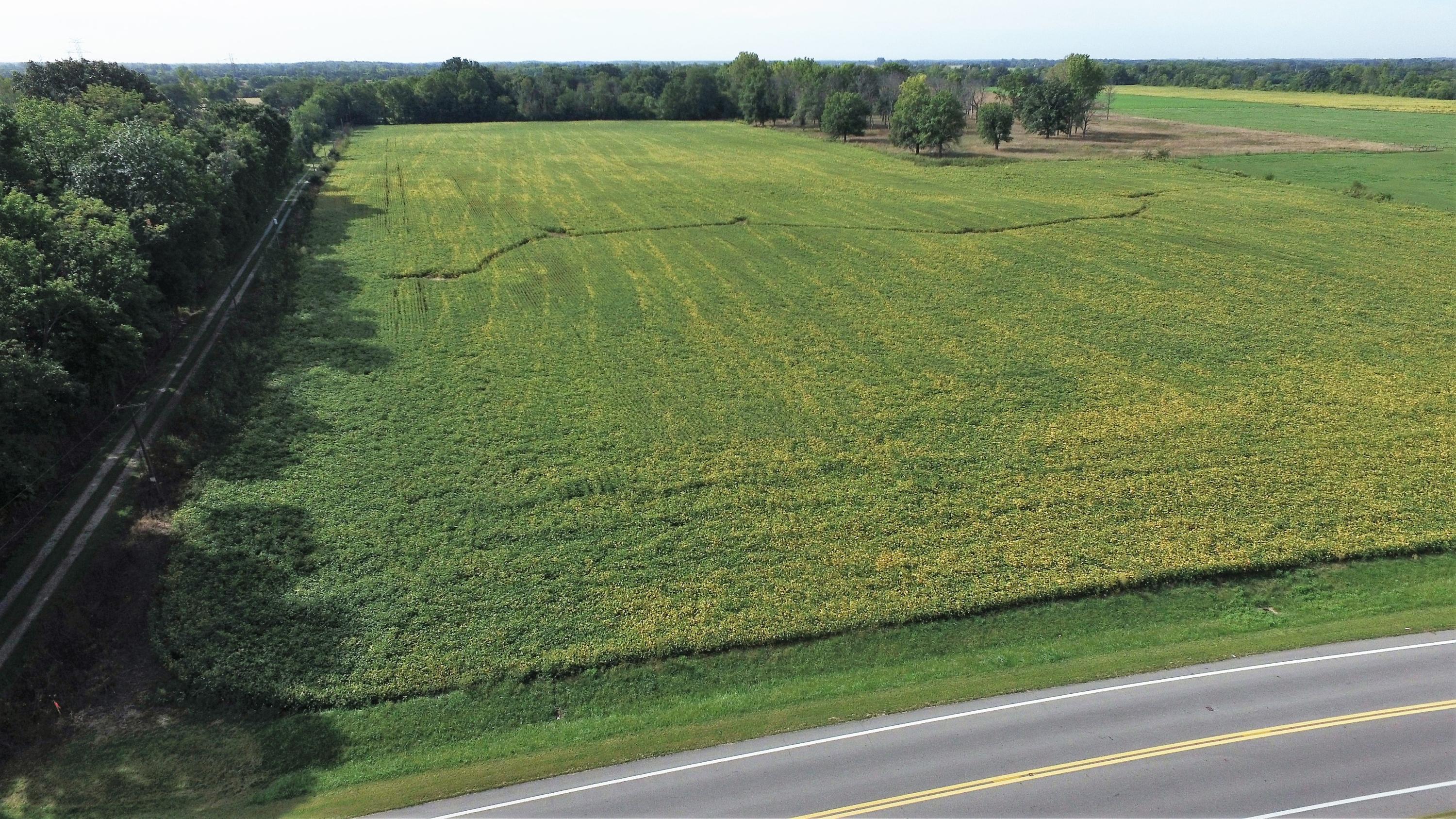 0 Feder Road, Unit LOT #2 Galloway, OH 43119 - Photo 1 of 4 Gallery Image 1
