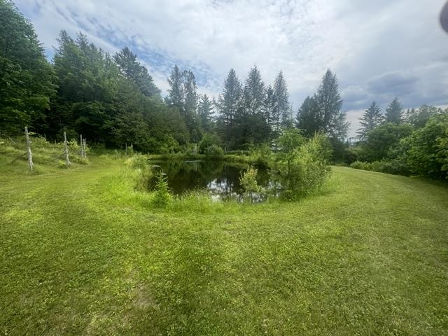 629 South Craftsbury Road Craftsbury, VT 05826 - Photo 41 of 54