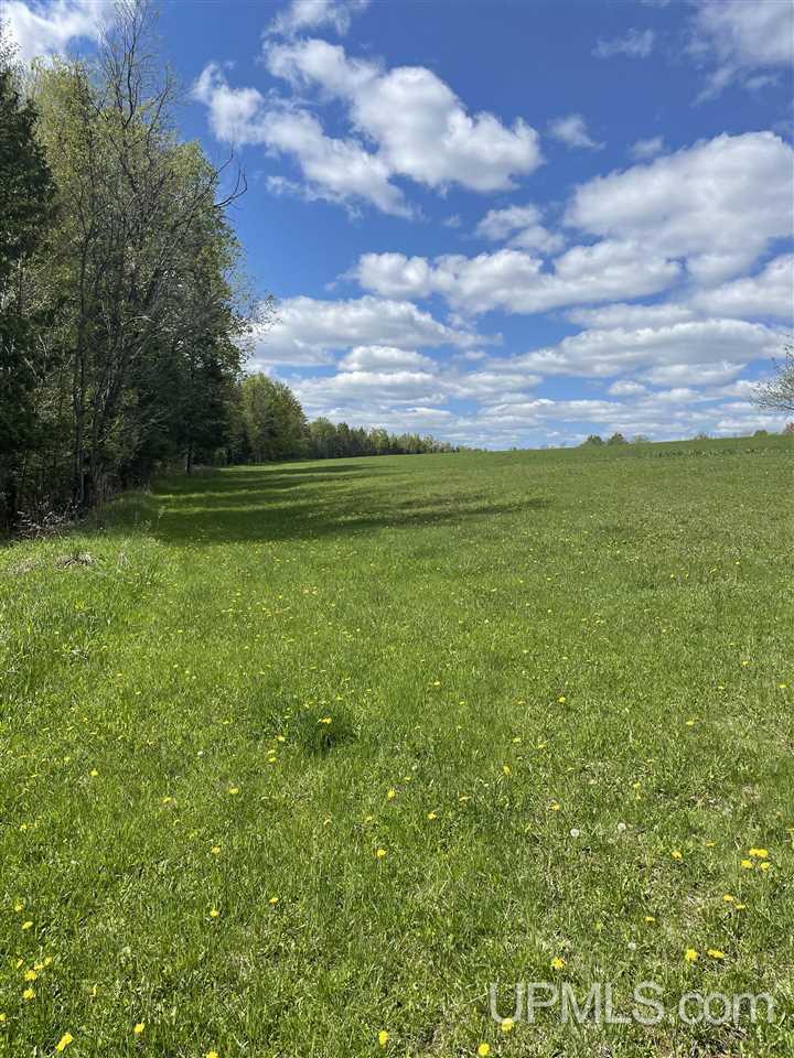 N19598 Swede Road Perronville, MI 49873 - Photo 16 of 59