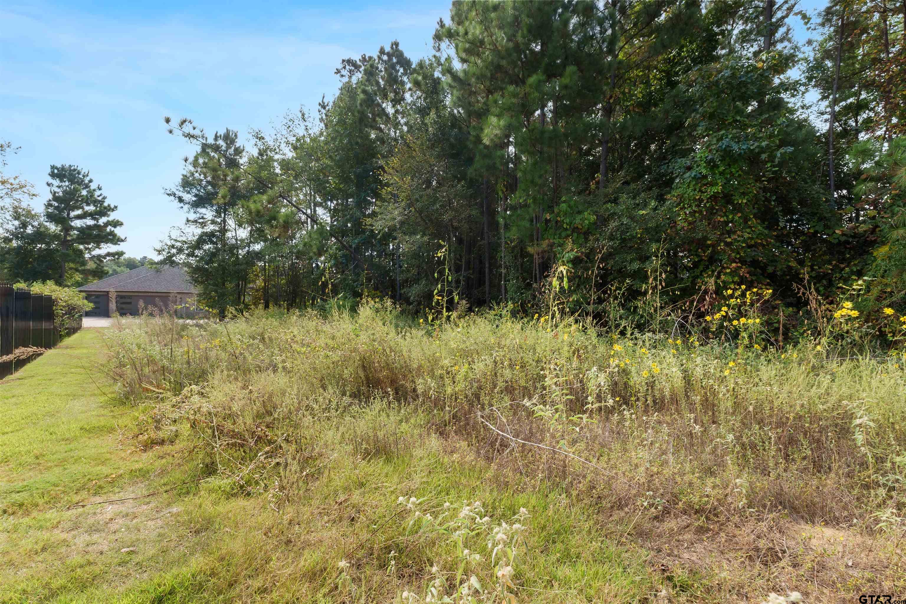 7535 Cross Gate Way Tyler, TX 75703 - Photo 13 of 17 a view of a lake view